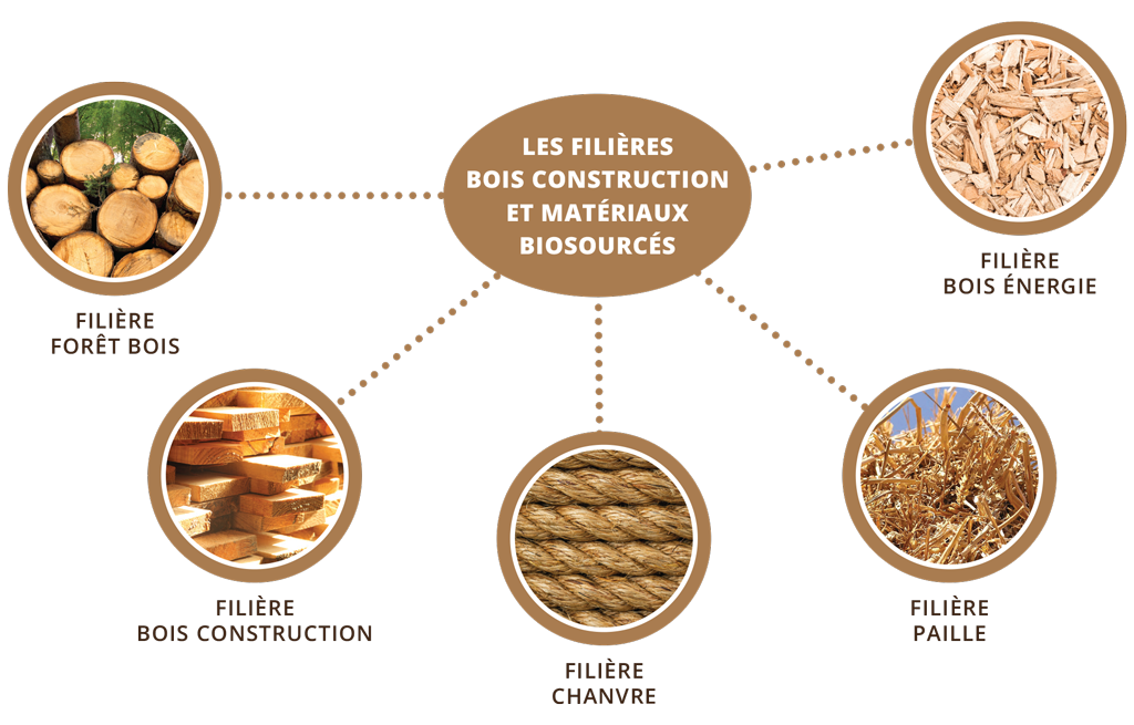 filieres-bois-construction-biosources-maison-foret-bois-centre